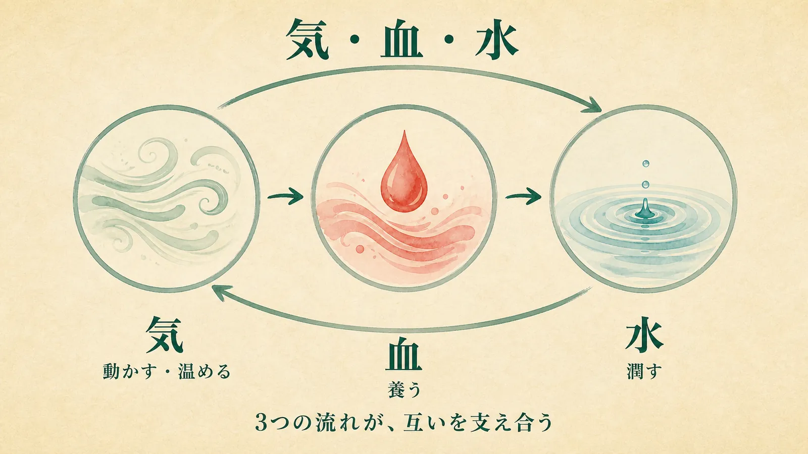 気・血・水が循環するインフォグラフィック